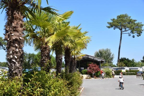 Mobil Home Xxl - Bord Lac - Camping Les Viviers - Lege Cap Ferret Dış mekan fotoğraf